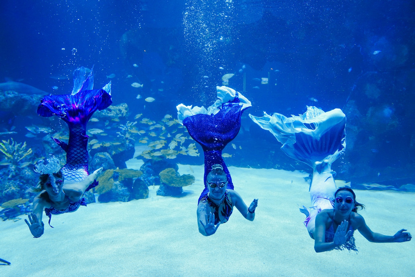 AQUARIA PHUKET